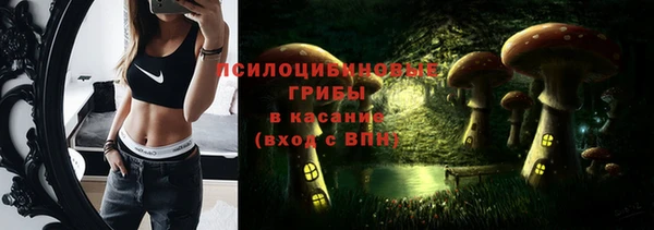 индика Алзамай