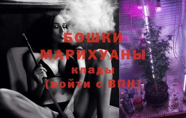 индика Алзамай