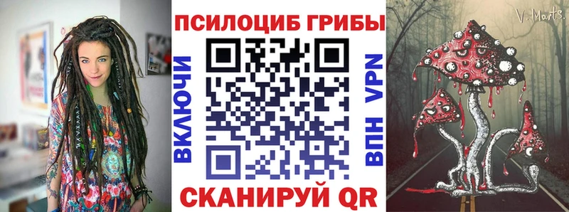 Галлюциногенные грибы ЛСД  Купить где  Александровск 